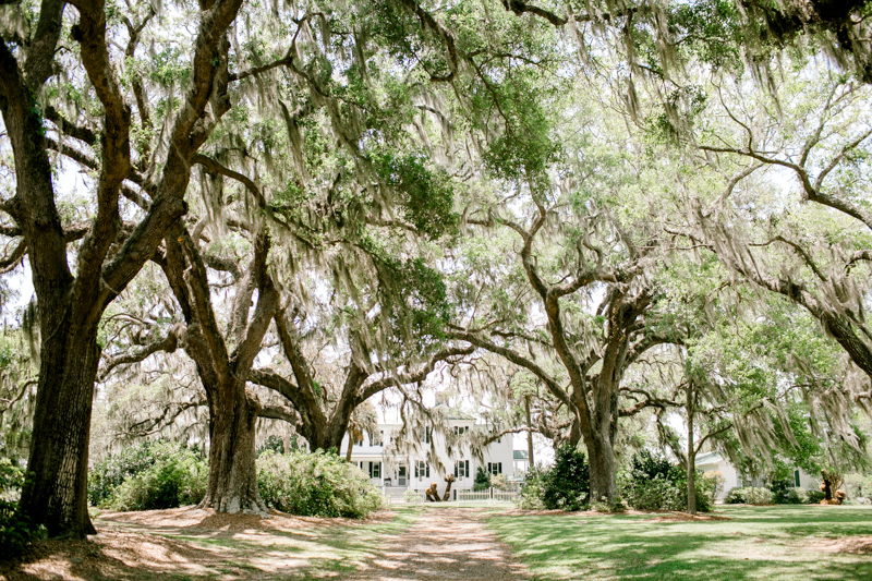 0002_Sarah and Dustin Cypress Trees Plantation Wedding {Jennings King Photography}
