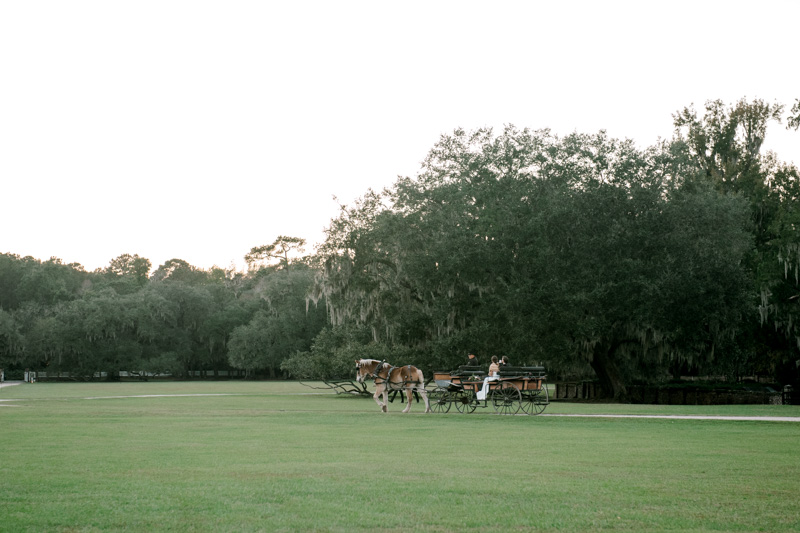 0080_Emily & Alex Middleton Place Wedding {Jennings King Photography}